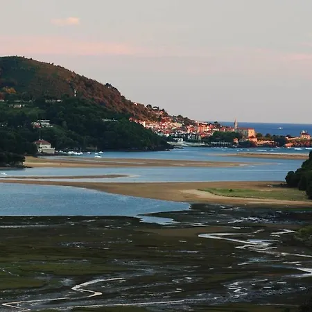 En El Centro De Ebi646 *